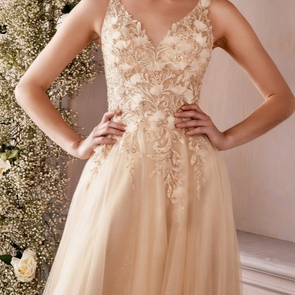 NEW CHAMPAGNE PROM PARTY EVENING FORMAL LACE FLORAL A-LINE DRESS CD0181 - Picture 2 of 7